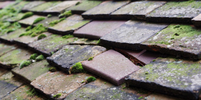 Temple Bar roof repair costs